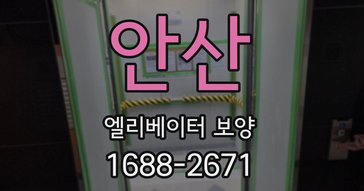 안산 엘리베이터 보양
