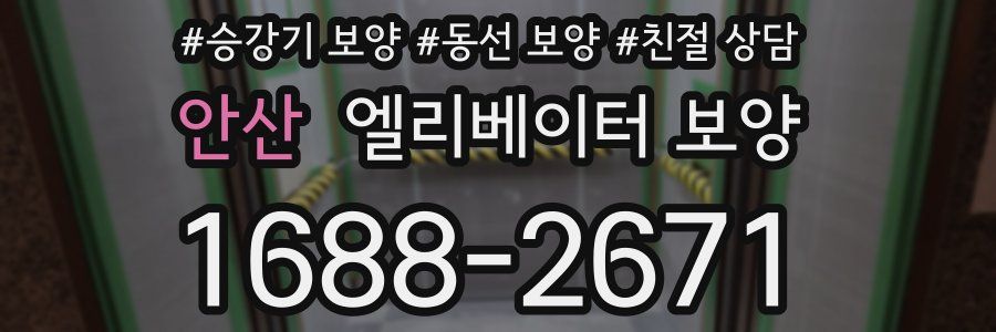 안산 엘리베이터 보양