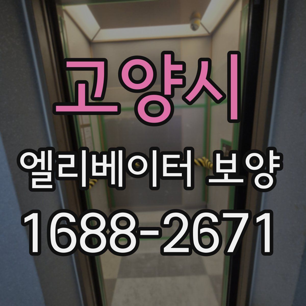고양시 엘리베이터 보양