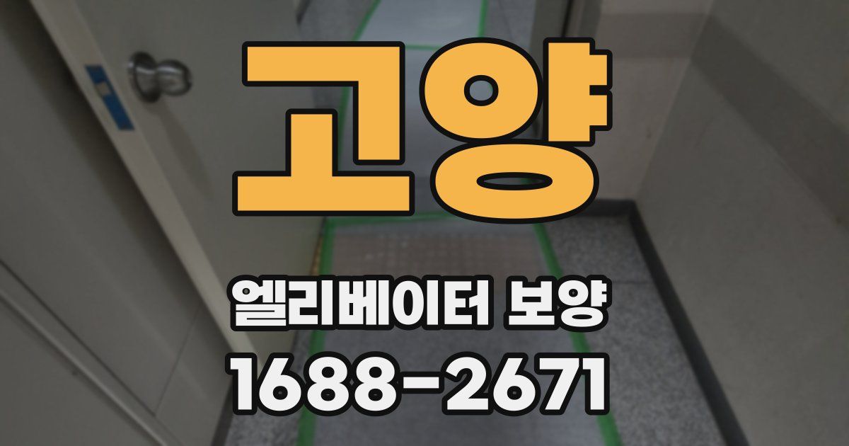 고양 엘리베이터 보양