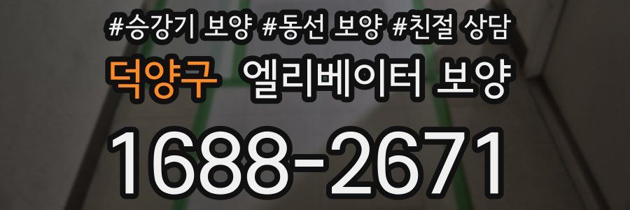 덕양구 엘리베이터 보양