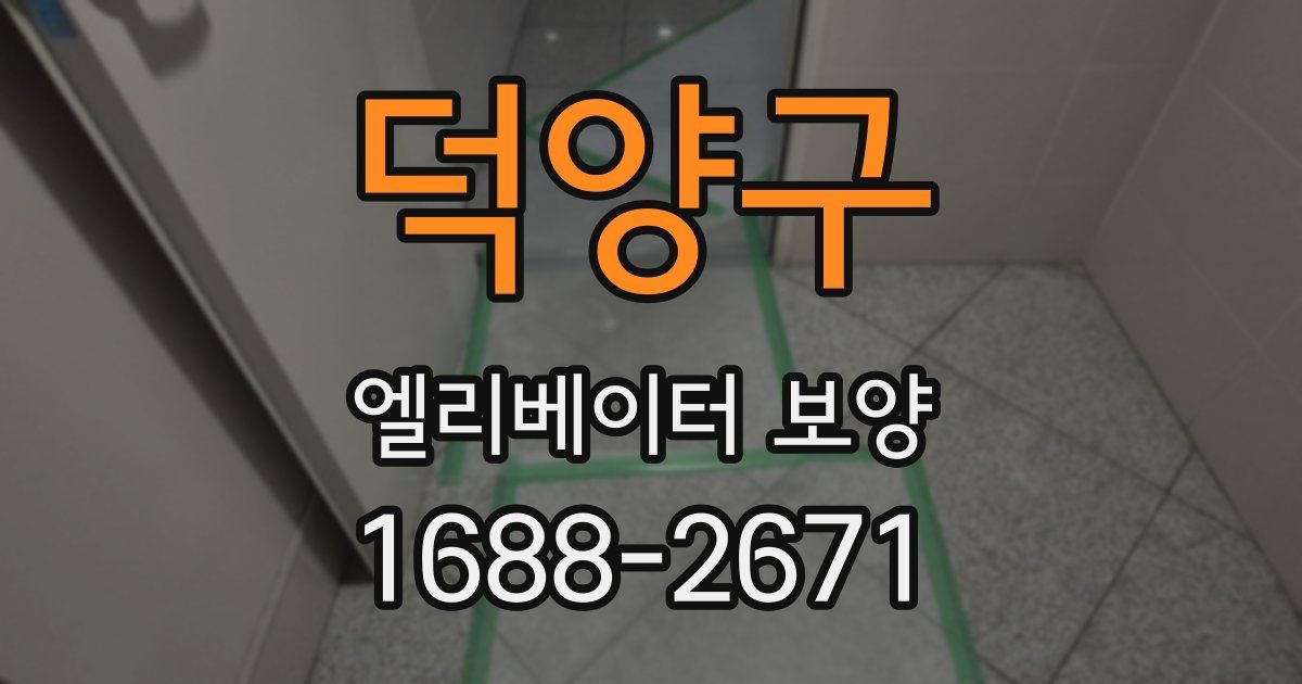 덕양구 엘리베이터 보양