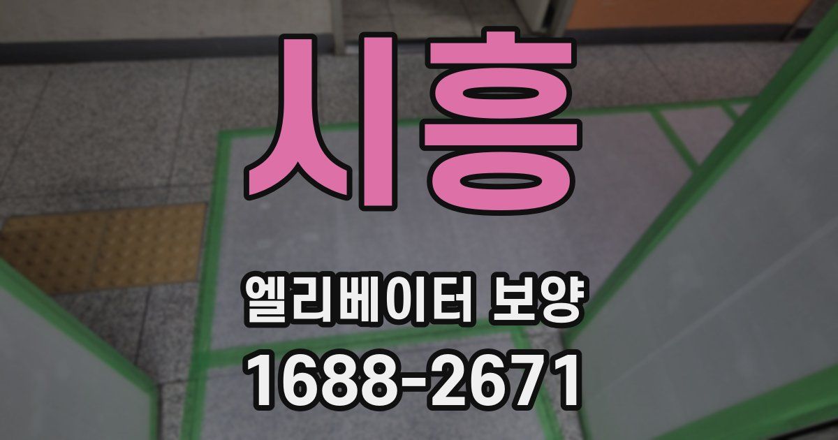 시흥 엘리베이터 보양
