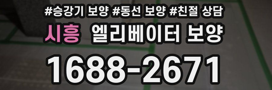 시흥 엘리베이터 보양
