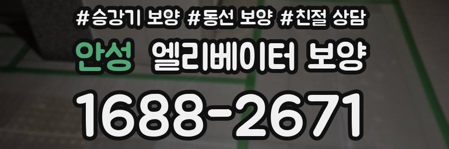 안성 엘리베이터 보양