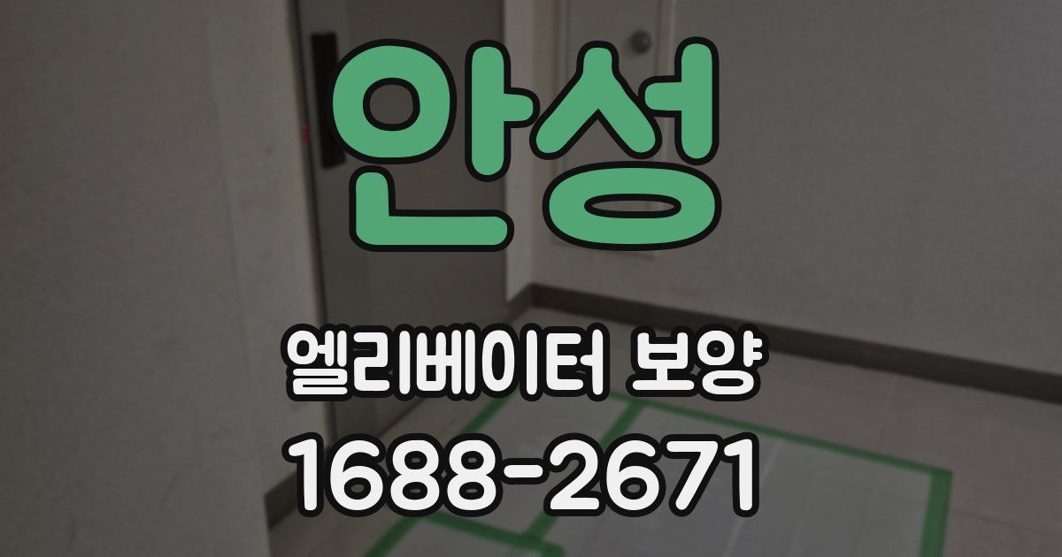 안성 엘리베이터 보양