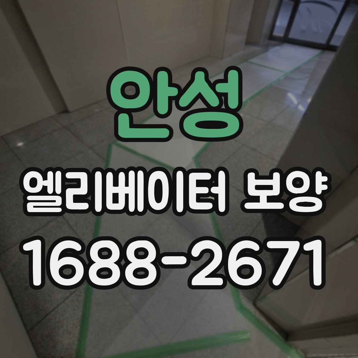 안성 엘리베이터 보양