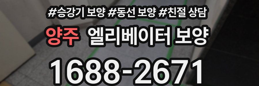 양주 엘리베이터 보양