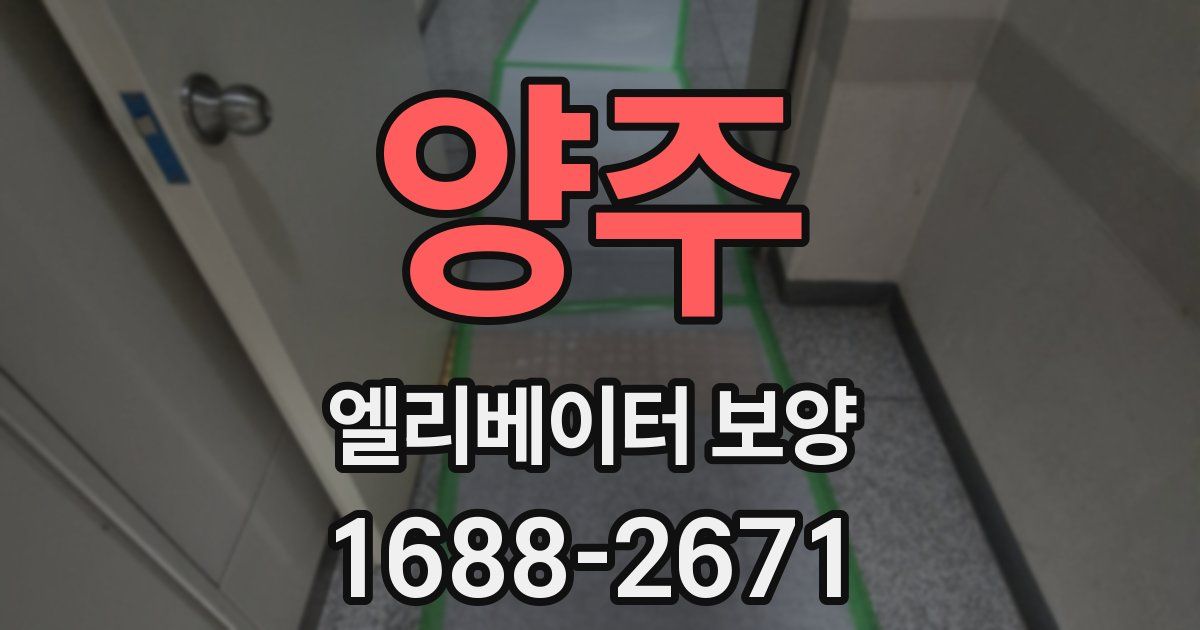 양주 엘리베이터 보양