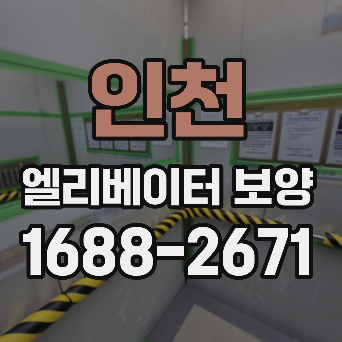 인천 엘리베이터 보양