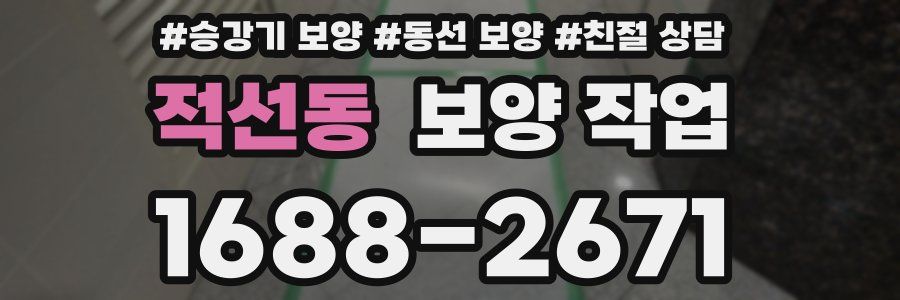 적선동 보양 작업