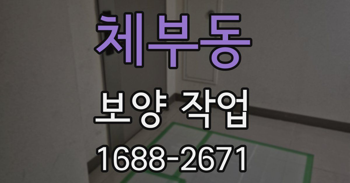 체부동 보양 작업