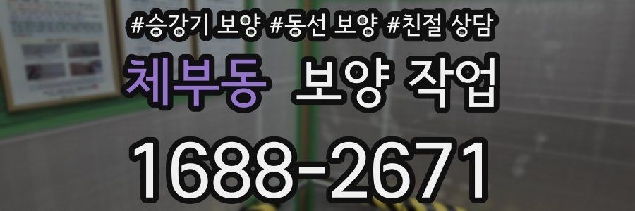 체부동 보양 작업