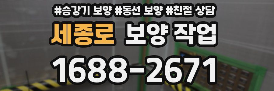 세종로 보양 작업