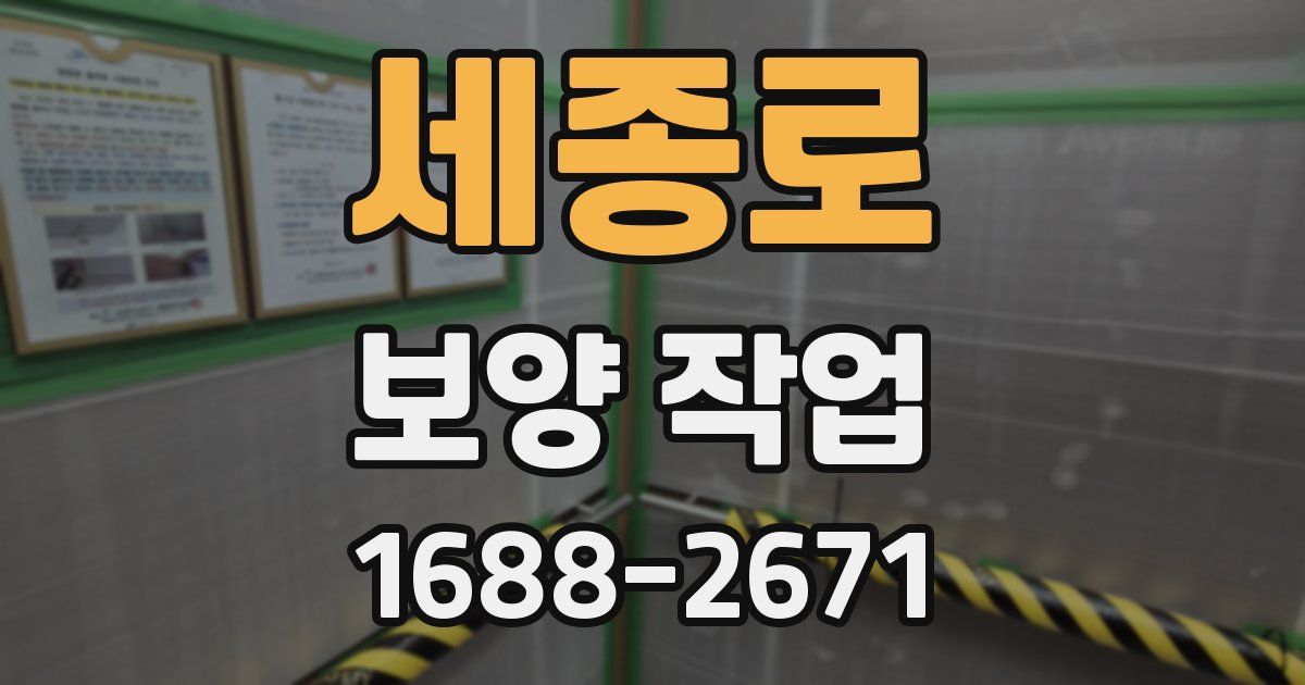 세종로 보양 작업