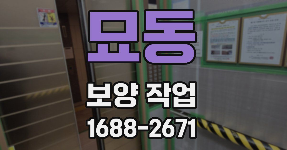 묘동 보양 작업