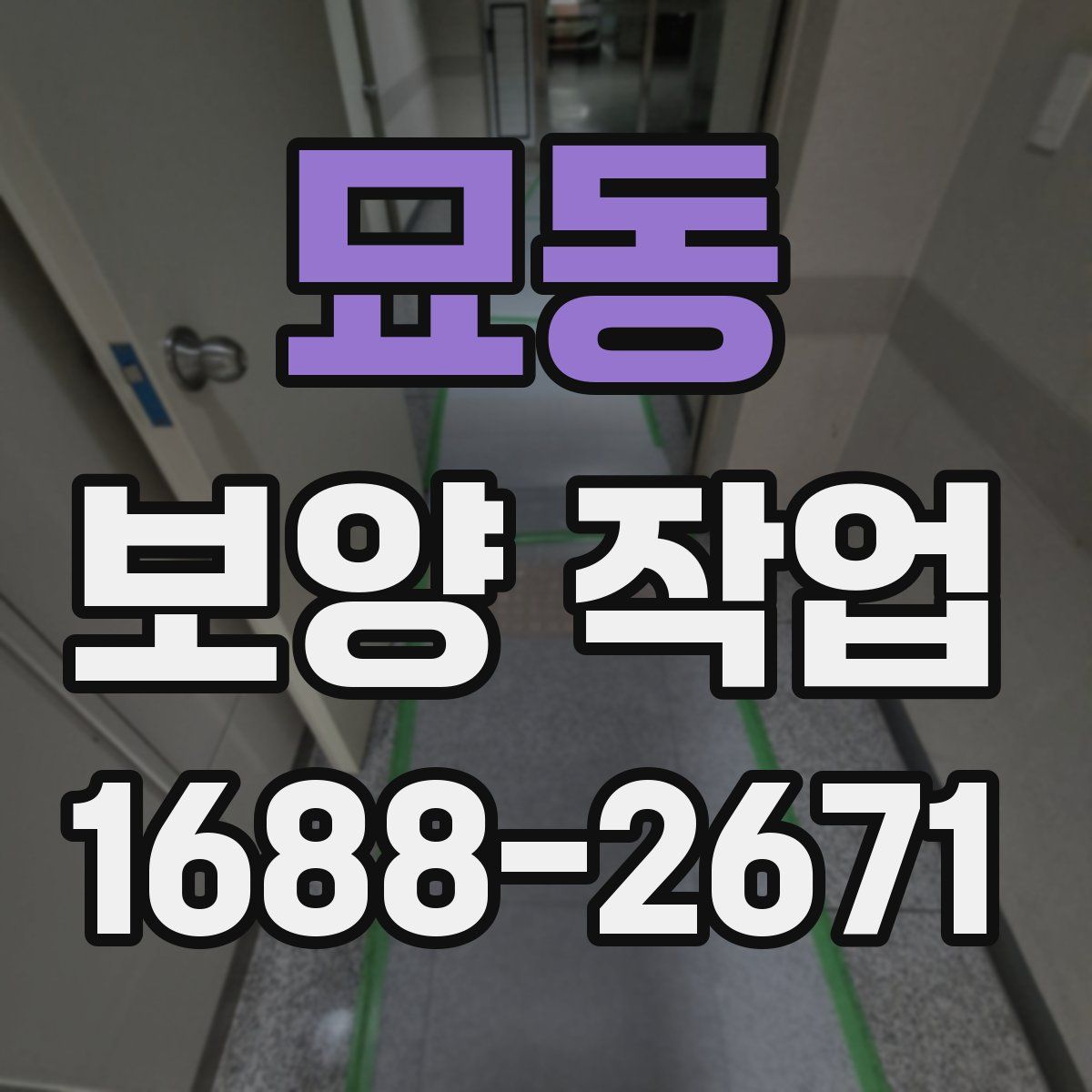 묘동 보양 작업