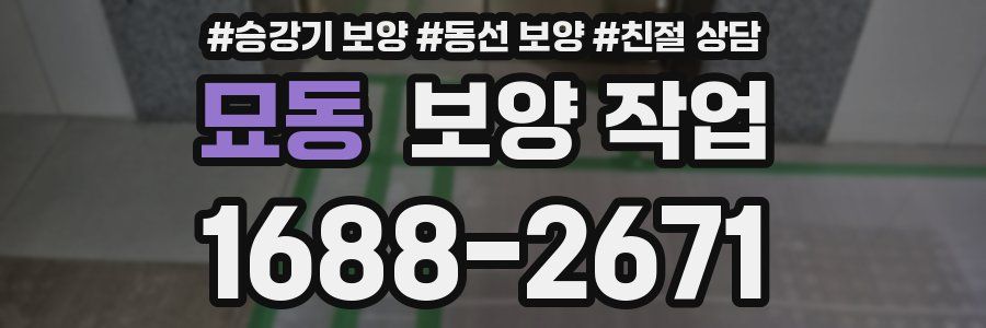 묘동 보양 작업