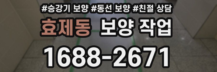 효제동 보양 작업