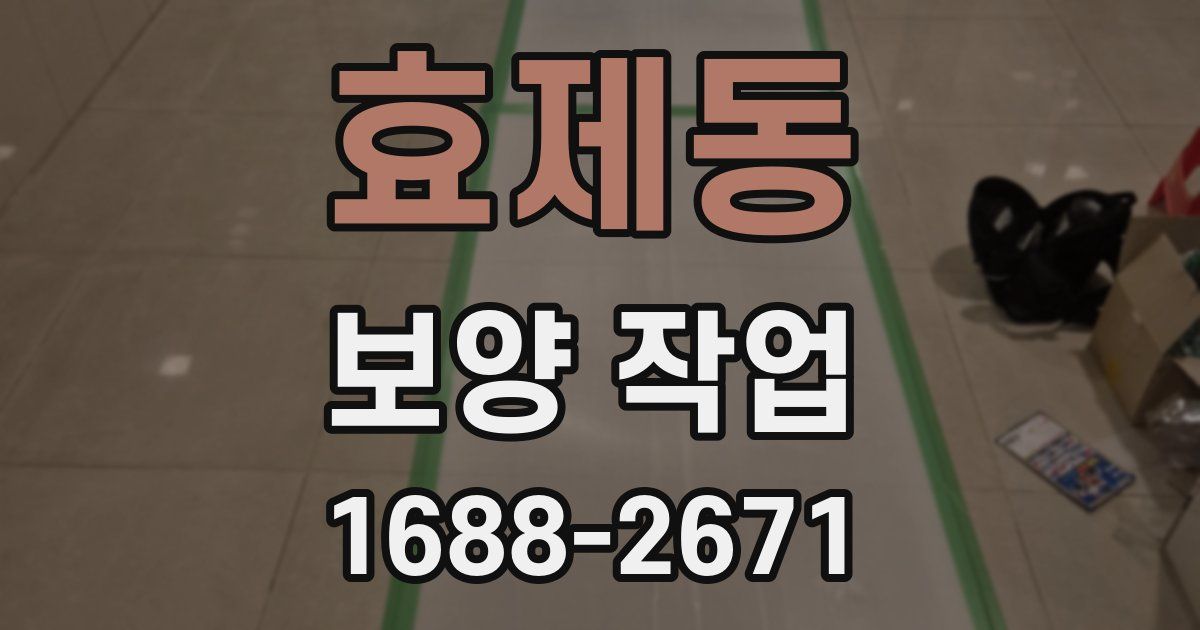 효제동 보양 작업