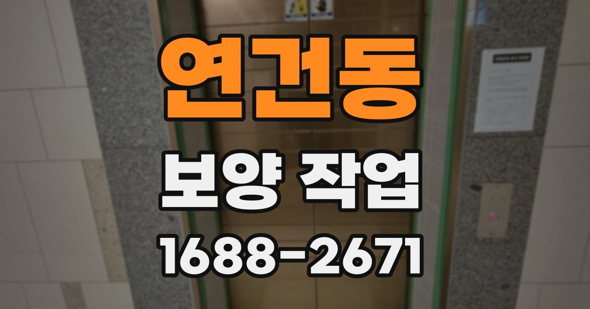 연건동 보양 작업