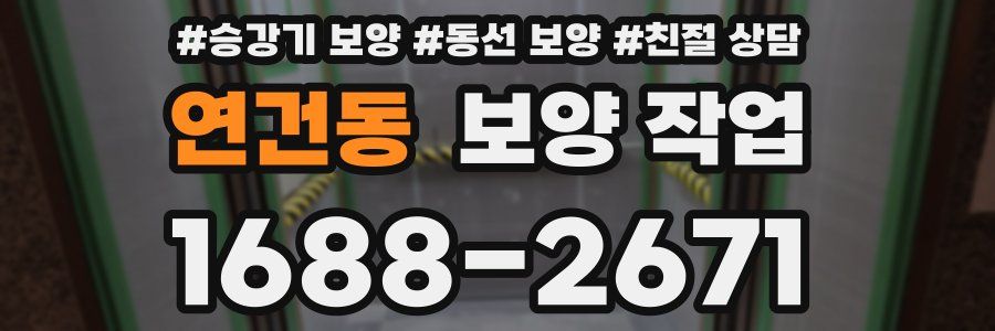 연건동 보양 작업