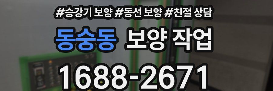 동숭동 보양 작업
