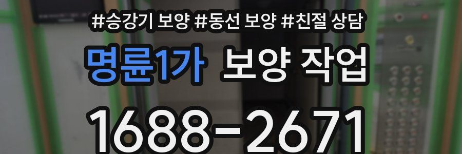 명륜1가 보양 작업