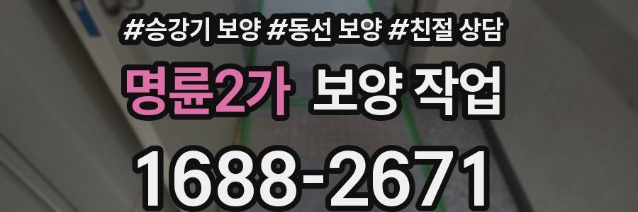 명륜2가 보양 작업