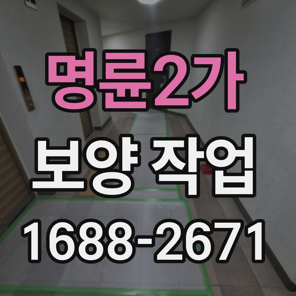 명륜2가 보양 작업