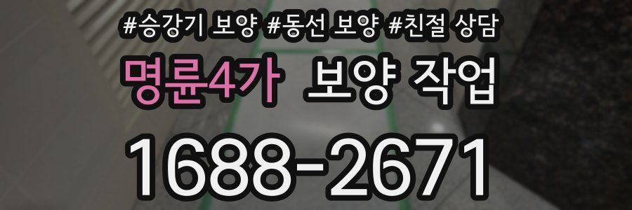 명륜4가 보양 작업