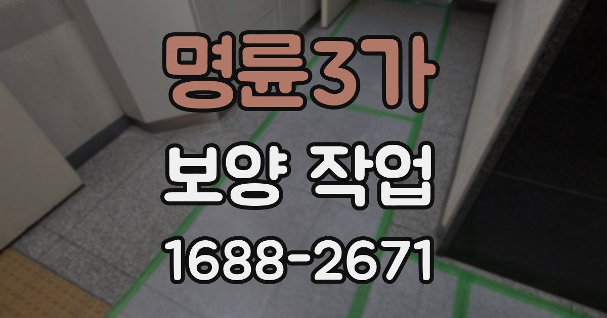 명륜3가 보양 작업