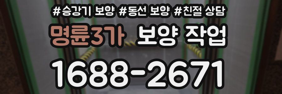 명륜3가 보양 작업