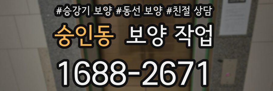 숭인동 보양 작업