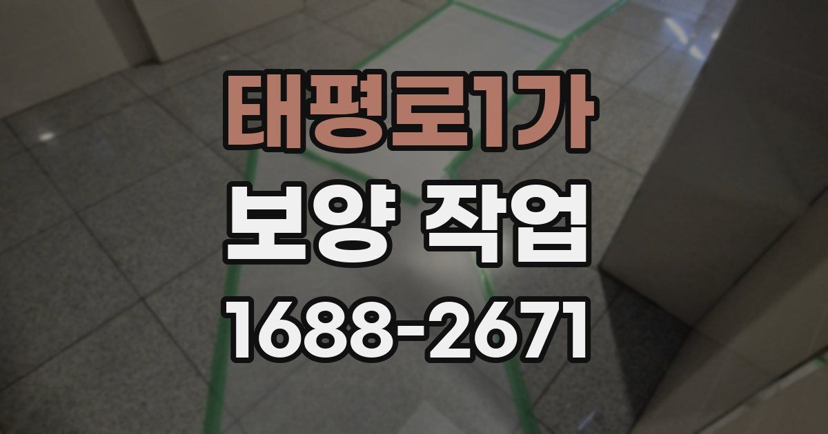 태평로1가 보양 작업