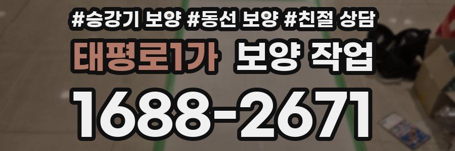 태평로1가 보양 작업