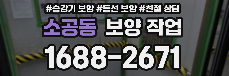 소공동 보양 작업