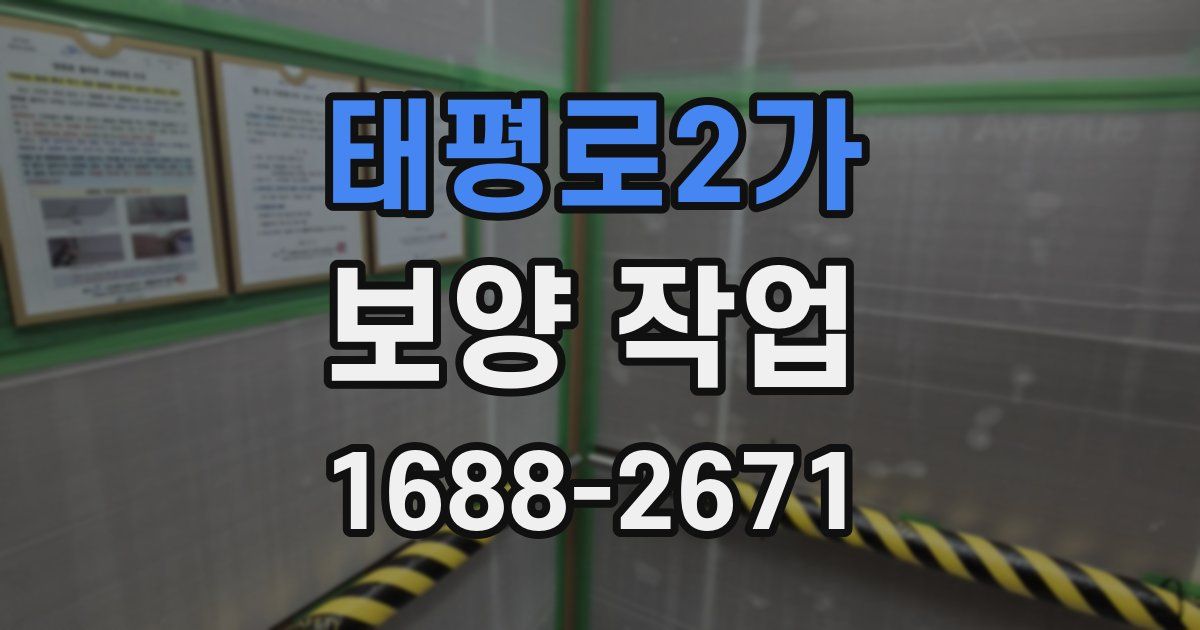 태평로2가 보양 작업