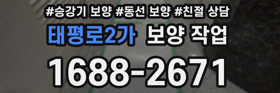 태평로2가 보양 작업