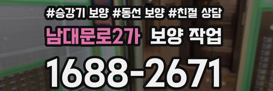 남대문로2가 보양 작업