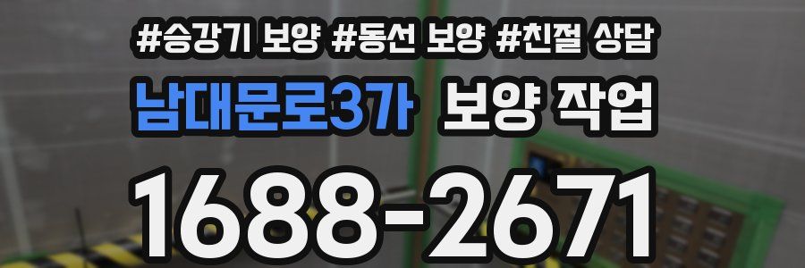 남대문로3가 보양 작업