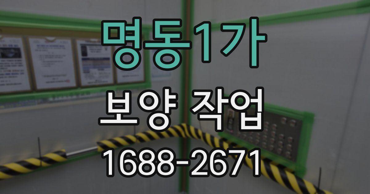 명동1가 보양 작업