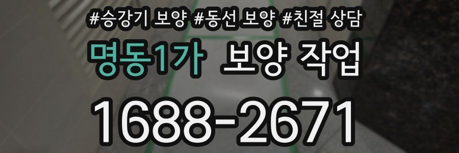 명동1가 보양 작업