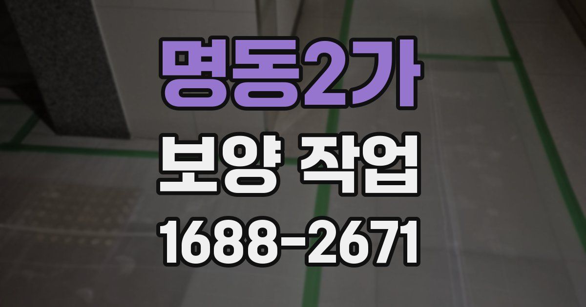 명동2가 보양 작업