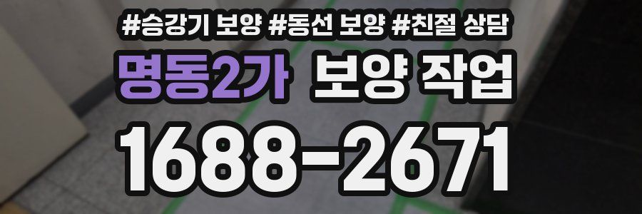 명동2가 보양 작업