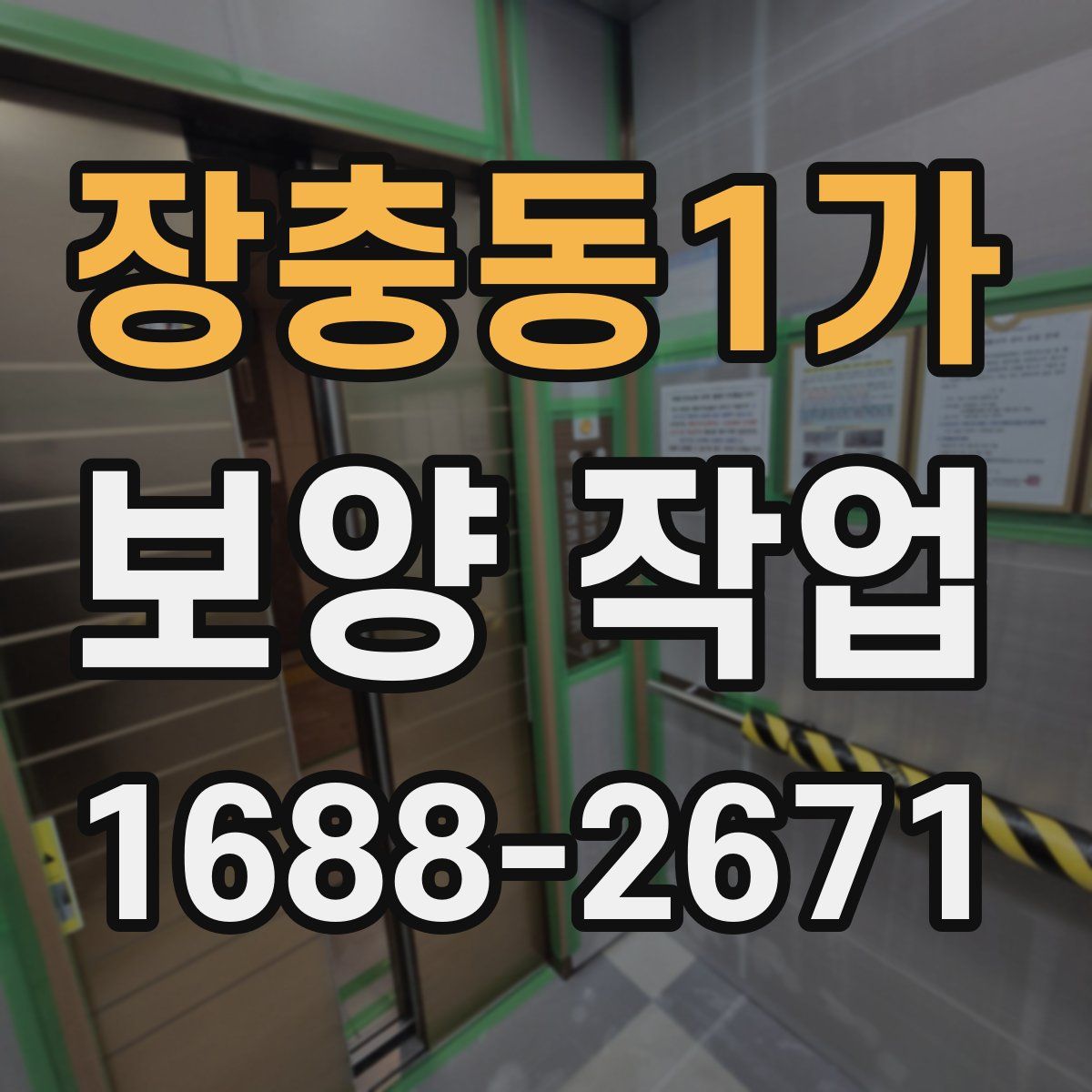 장충동1가 보양 작업