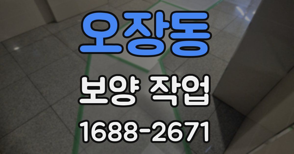 오장동 보양 작업