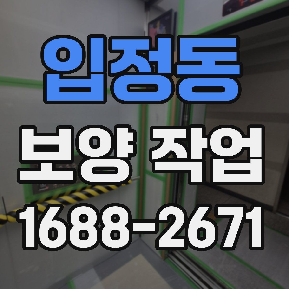 입정동 보양 작업 진행 시 비교해야 할 포인트