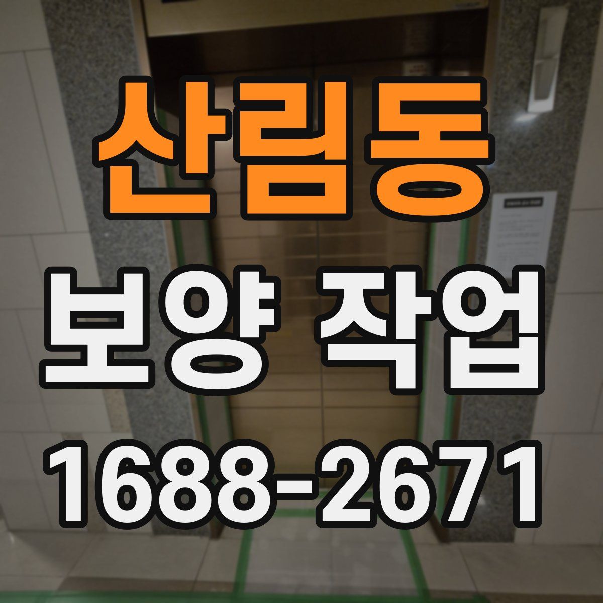 산림동 보양 작업