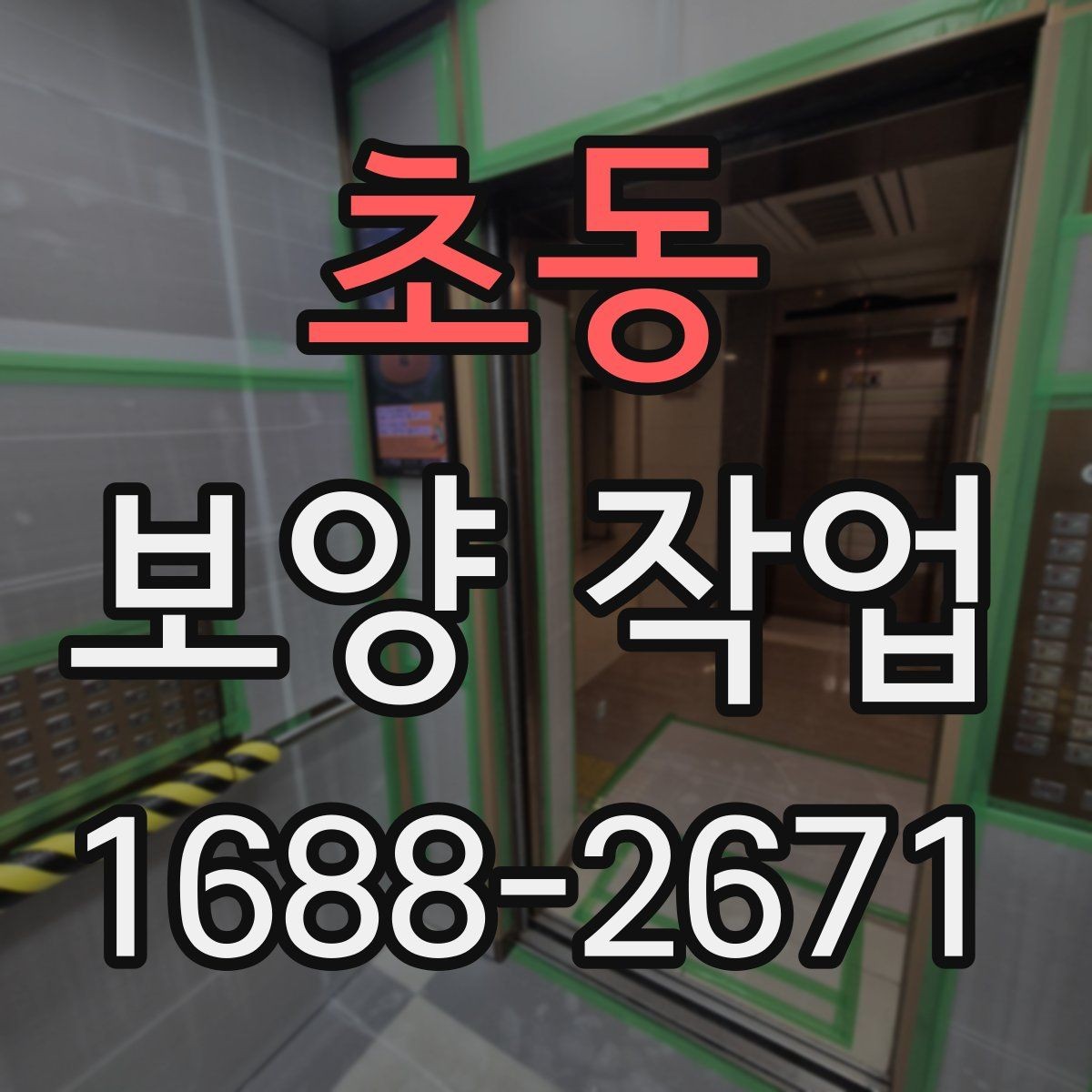 초동 보양 작업 관련 오해와 실제 차이